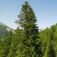 ΓΕΩΤ.Ε.Ε.: ΠΑΡΕΜΒΑΣΗ ΓΙΑ ΤΗΝ ΕΝΙΣΧΥΣΗ ΤΩΝ ΔΑΣΙΚΩΝ ΥΠΗΡΕΣΙΩΝ