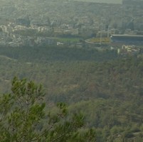 ΠΕΡΙΑΣΤΙΚΟ ΔΑΣΟΣ ΣΕΪΧ-ΣΟΥ: ΠΝΕΥΜΟΝΑΣ ΖΩΗΣ ΓΙΑ ΤΗ ΘΕΣΣΑΛΟΝΙΚΗ