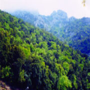 ΔΕΛΤΙΟ ΤΥΠΟΥ: ΣΥΜΜΕΤΟΧΗ ΤΟΥ ΓΕΩΤ.Ε.Ε. ΣΤΗΝ ΗΜΕΡΙΔΑ ΓΙΑ ΤΗΝ ΠΑΓΚΟΣΜΙΑ ΗΜΕΡΑ ΔΑΣΩΝ 2026 ΣΤΗΝ ΚΑΤΕΡΙΝΗ