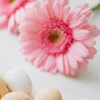 ΓΕΩΤ.Ε.Ε. : ΕΥΧΕΣ ΤΟΥ ΠΡΟΕΔΡΟΥ, ΤΟΥ Δ.Σ. ΚΑΙ ΤΟΥ ΠΡΟΣΩΠΙΚΟΥ ΤΟΥ ΕΠΙΜΕΛΗΤΗΡΙΟΥ ΓΙΑ ΚΑΛΗ ΑΝΑΣΤΑΣΗ & ΚΑΛΟ ΠΑΣΧΑ